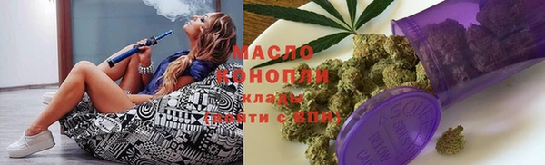 spice Богородск