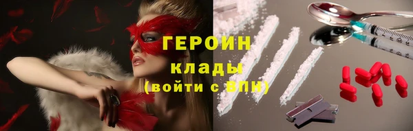 spice Богородск
