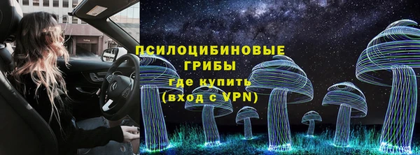 spice Бугульма